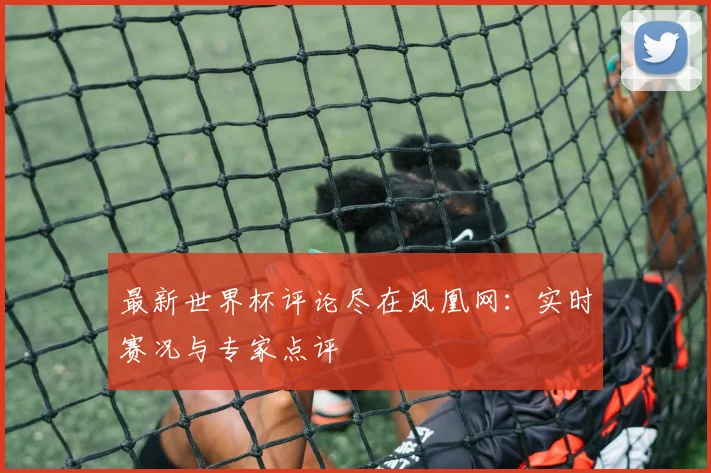 最新世界杯评论尽在凤凰网：实时赛况与专家点评