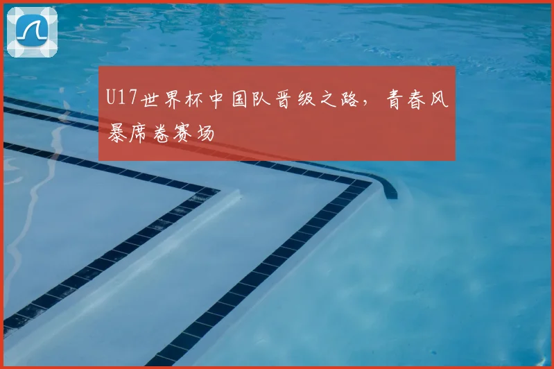 U17世界杯中国队晋级之路,青春风暴席卷赛场