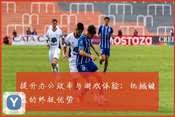 提升办公效率与游戏体验：机械键盘的终极优势